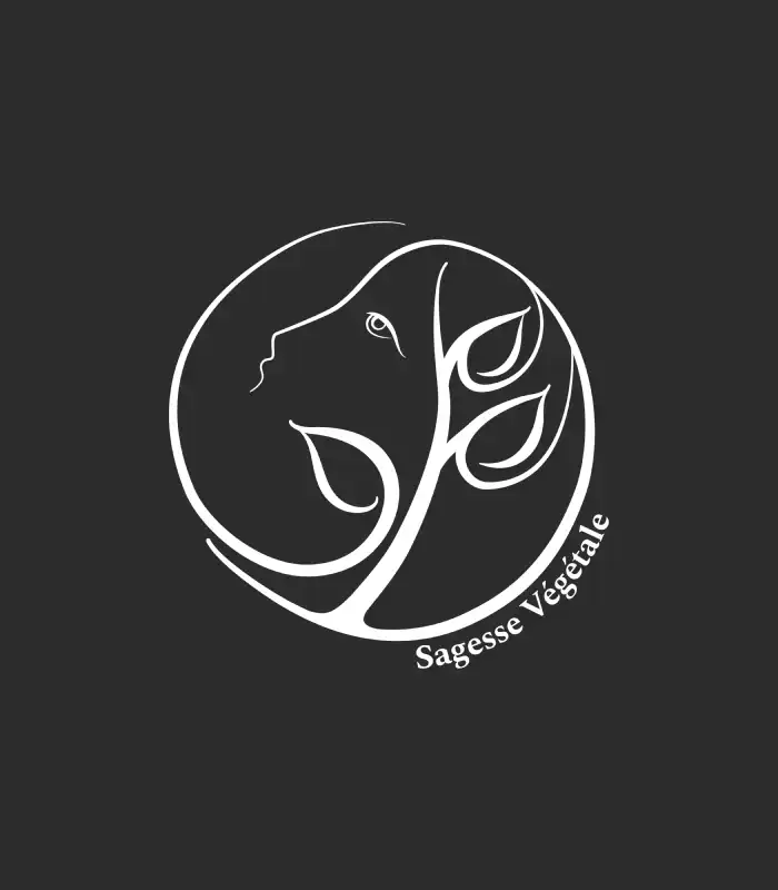 Sagesse Vegetale Soins Et Atelier Bien Etre Reville Carte De Fidelite