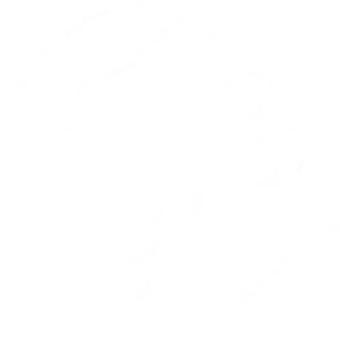 Sagesse Vegetale Soins Et Atelier Bien Etre Reville Logo White