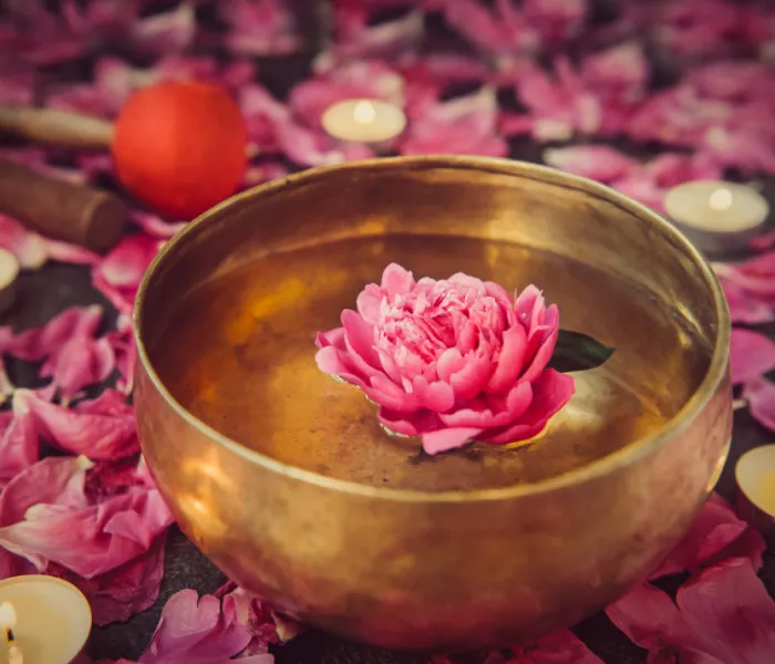 Sagesse Vegetale Soins Et Atelier Bien Etre Reville Le Bain De Thetis