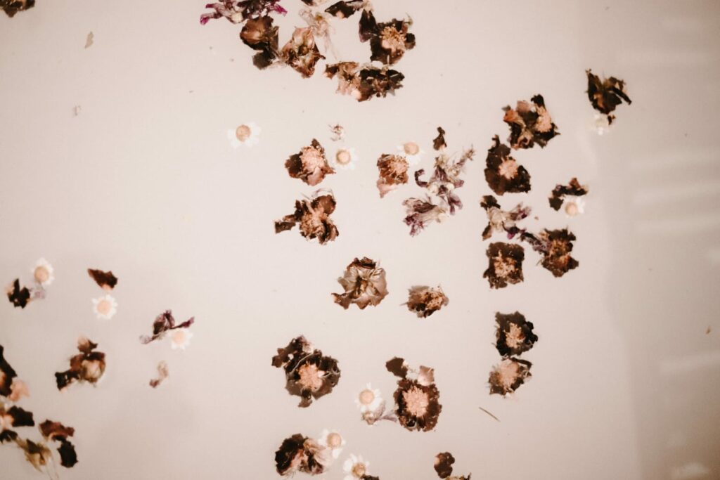 Sagesse Vegetale Soins Et Atelier Bien Etre Reville WhatsApp Image 2026 02 18 At 12.13.41 1